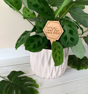 Wood Plant Sayings | Gifts for Plant Lovers