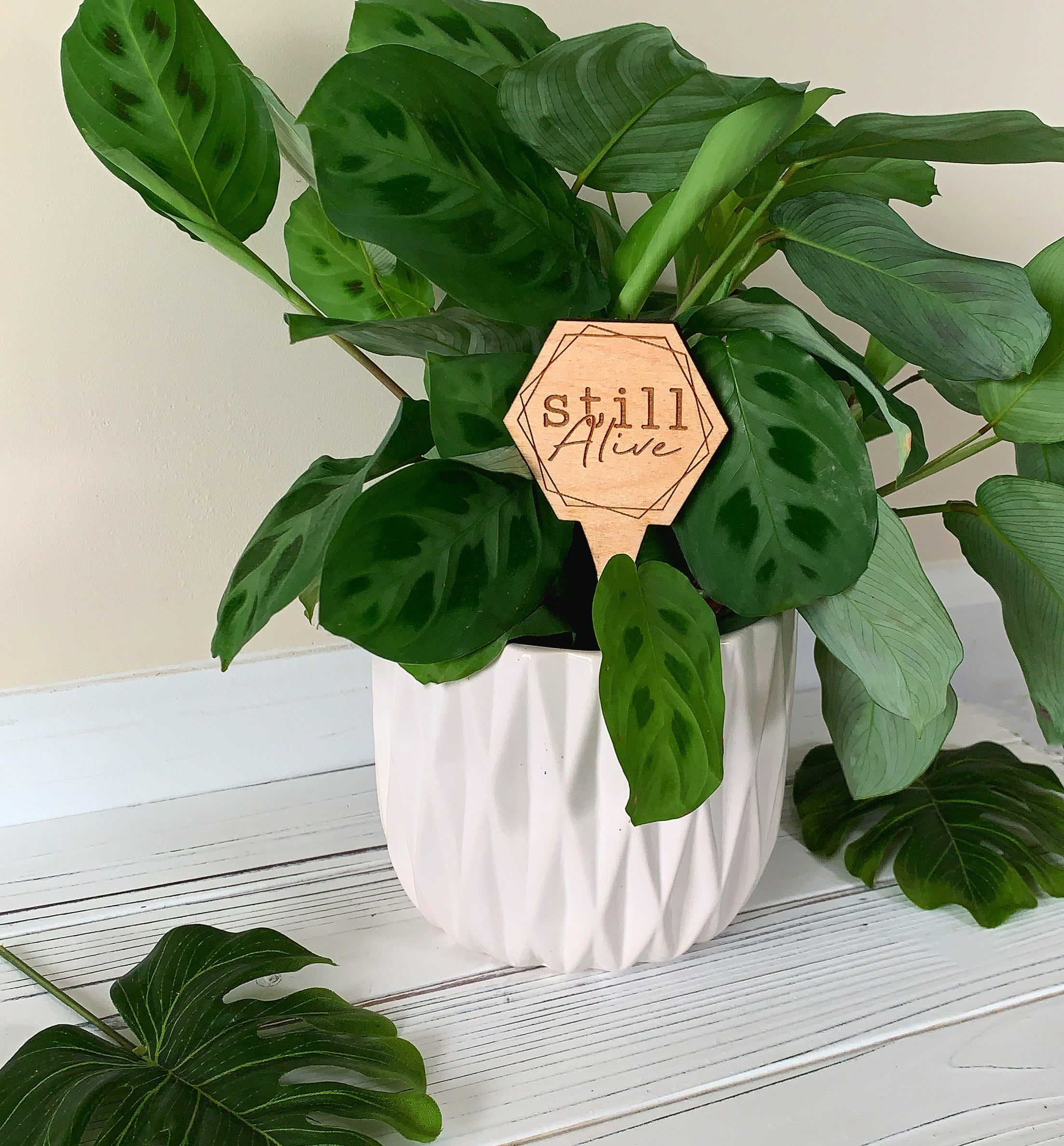 Wood Plant Sayings | Gifts for Plant Lovers