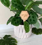 Wood Plant Sayings | Gifts for Plant Lovers