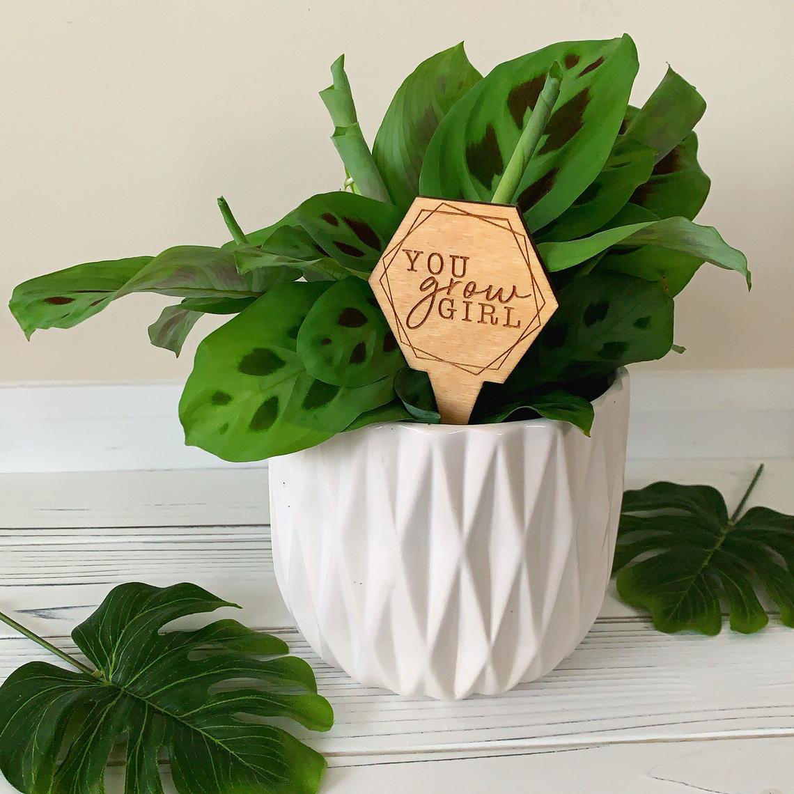 Wood Plant Sayings | Gifts for Plant Lovers