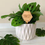 Wood Plant Sayings | Gifts for Plant Lovers