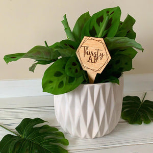 Wood Plant Sayings | Gifts for Plant Lovers