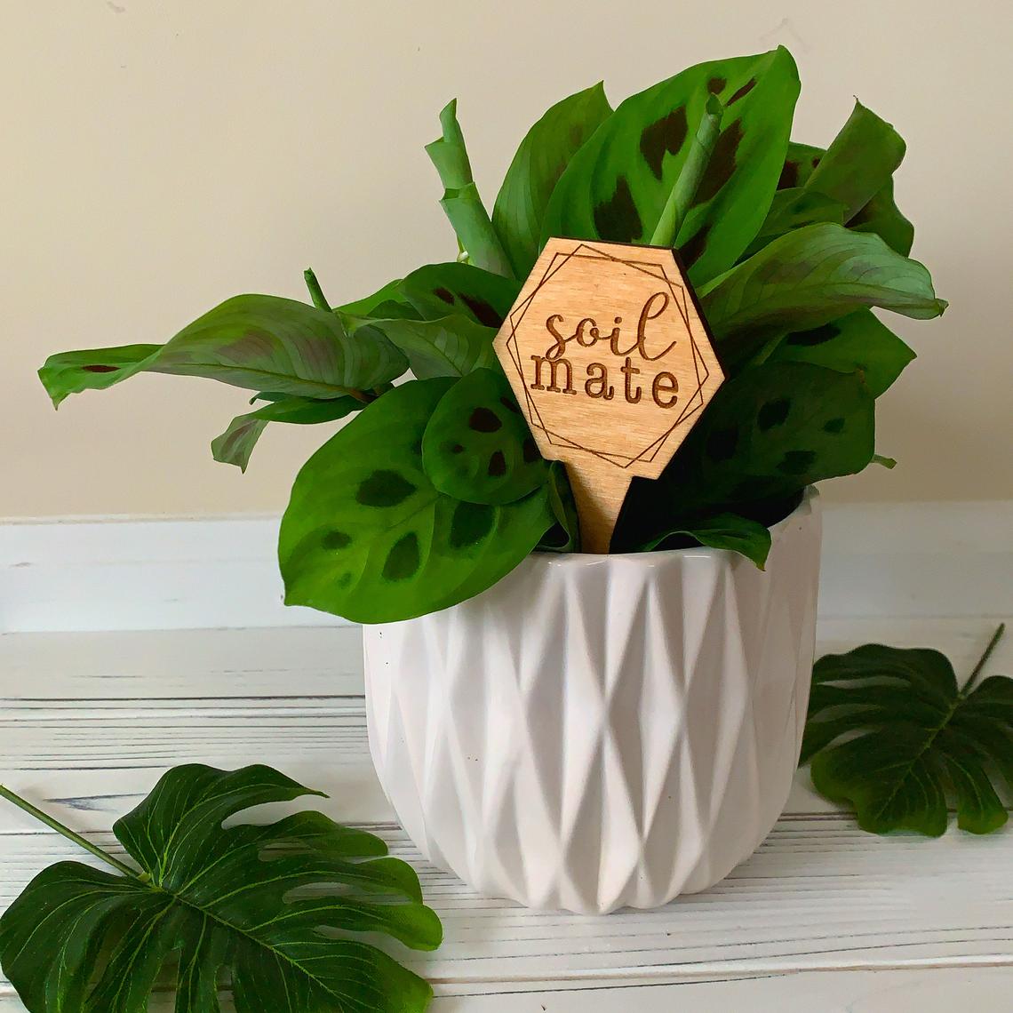 Wood Plant Sayings | Gifts for Plant Lovers